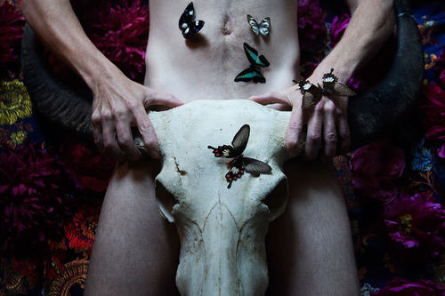 tumblr_mbe3fmE6yG1qan19ko3_500